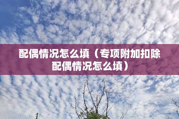 配偶情况怎么填（专项附加扣除配偶情况怎么填）