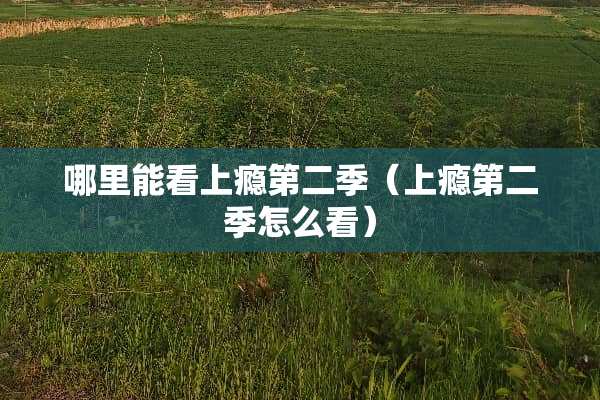 哪里能看上瘾第二季（上瘾第二季怎么看）