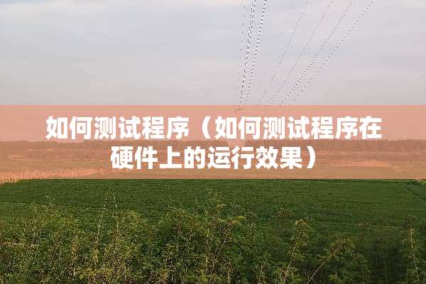 如何测试程序（如何测试程序在硬件上的运行效果）