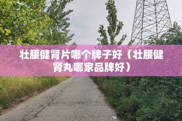 壮腰健肾片哪个牌子好（壮腰健肾丸哪家品牌好）