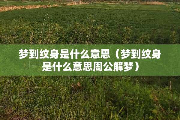 梦到纹身是什么意思（梦到纹身是什么意思周公解梦）