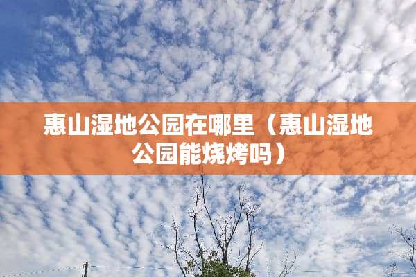 惠山湿地公园在哪里（惠山湿地公园能烧烤吗）