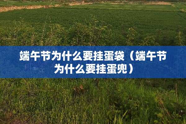 端午节为什么要挂蛋袋（端午节为什么要挂蛋兜）