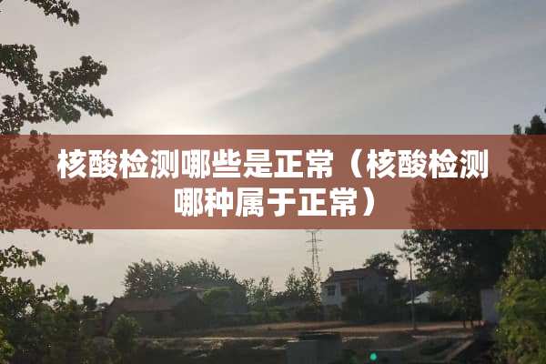 核酸检测哪些是正常（核酸检测哪种属于正常）