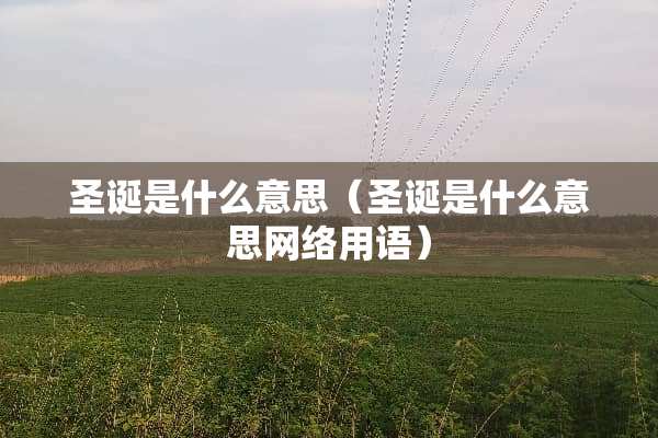 圣诞是什么意思（圣诞是什么意思网络用语）