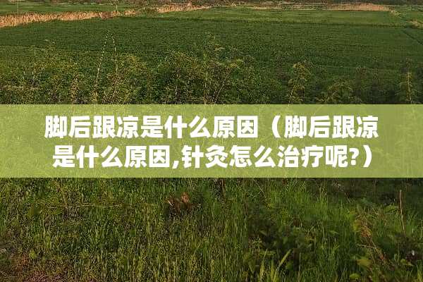 脚后跟凉是什么原因（脚后跟凉是什么原因,针灸怎么治疗呢?）