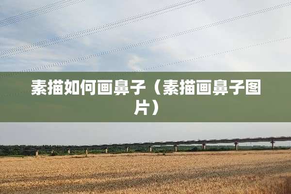 素描如何画鼻子（素描画鼻子图片）