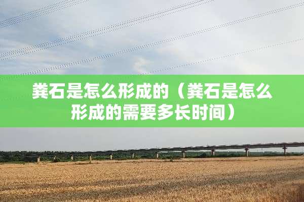 粪石是怎么形成的（粪石是怎么形成的需要多长时间）