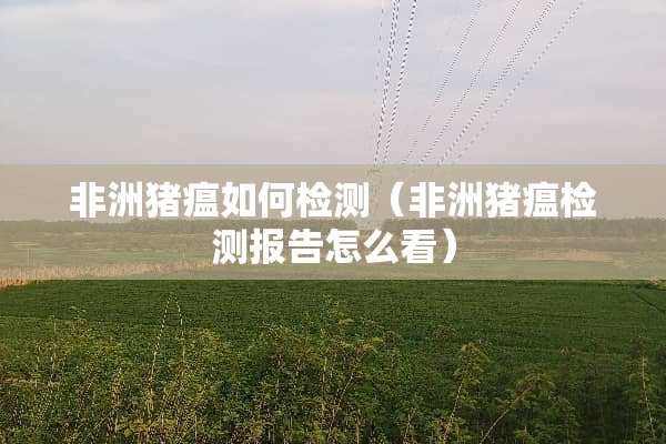 非洲猪瘟如何检测（非洲猪瘟检测报告怎么看）