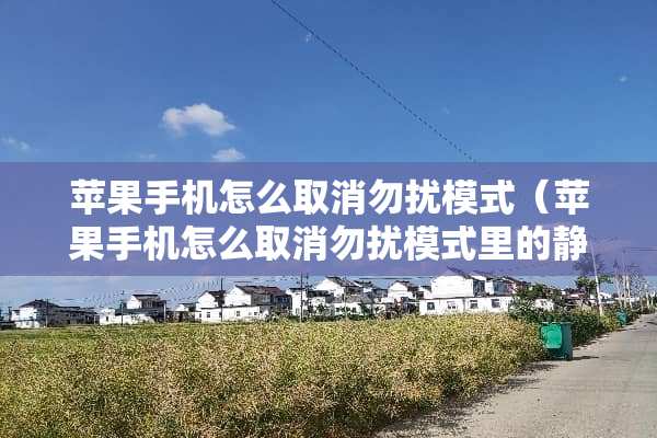 苹果手机怎么取消勿扰模式（苹果手机怎么取消勿扰模式里的静音模式）