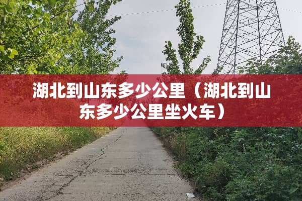 湖北到山东多少公里（湖北到山东多少公里坐火车）