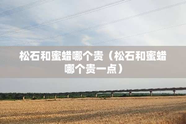 松石和蜜蜡哪个贵（松石和蜜蜡哪个贵一点）
