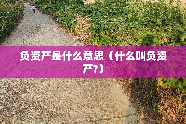 负资产是什么意思（什么叫负资产?）