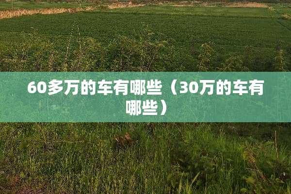 60多万的车有哪些（30万的车有哪些）