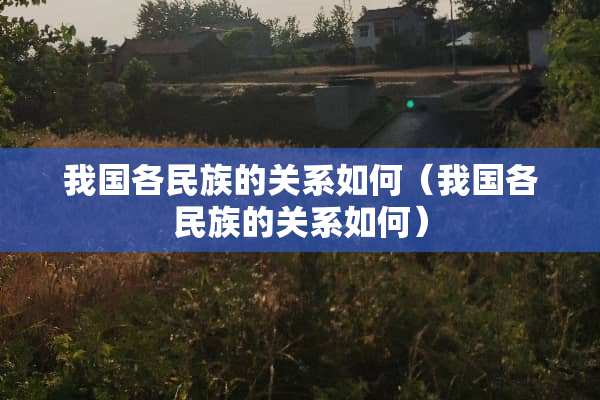 我国各民族的关系如何（我国各民族的关系如何）