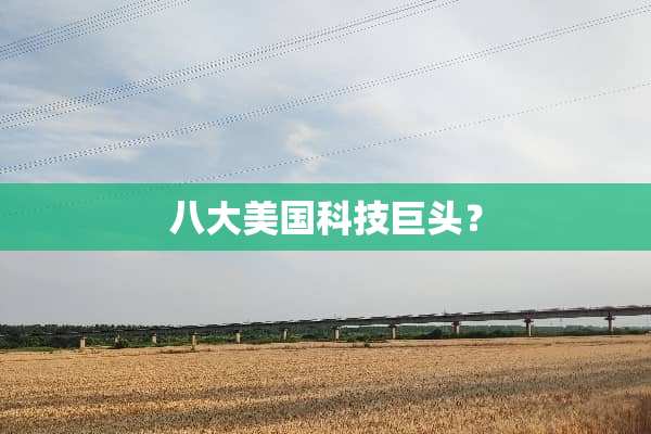 八大美国科技巨头？