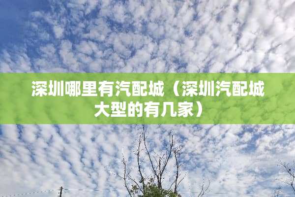 深圳哪里有汽配城（深圳汽配城大型的有几家）