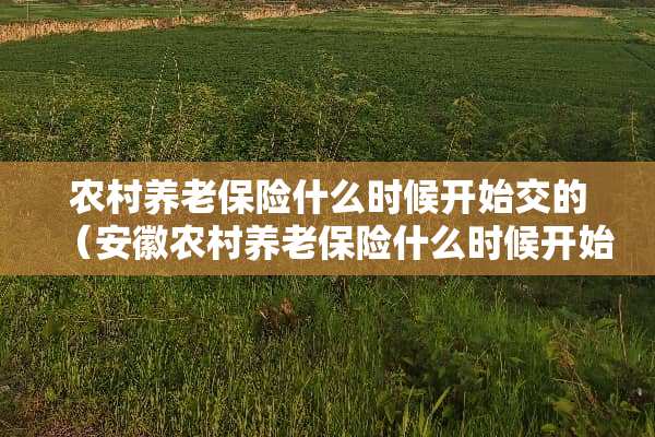 农村养老保险什么时候开始交的（安徽农村养老保险什么时候开始交的）