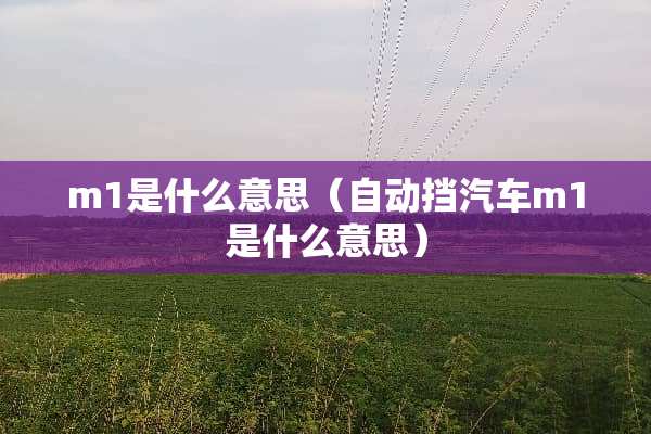 m1是什么意思（自动挡汽车m1是什么意思）