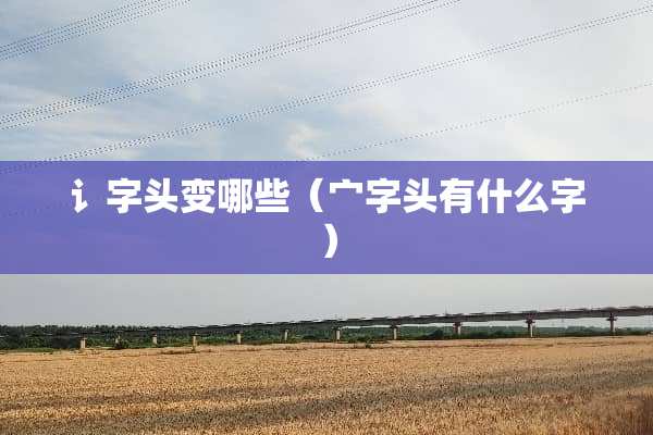 讠字头变哪些（宀字头有什么字）