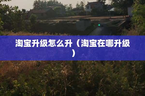 淘宝升级怎么升（淘宝在哪升级）