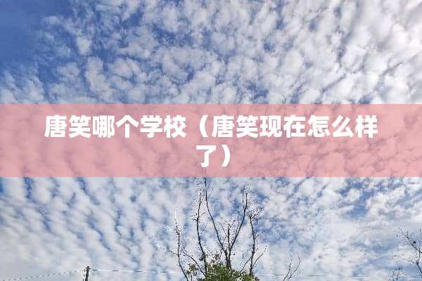 唐笑哪个学校（唐笑现在怎么样了）