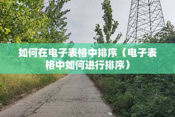 如何在电子表格中排序（电子表格中如何进行排序）