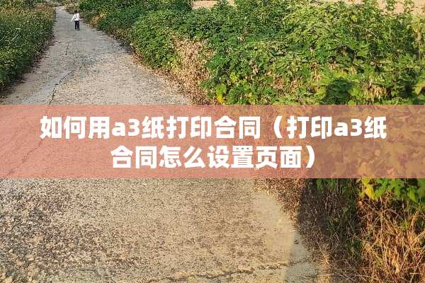 如何用a3纸打印合同（打印a3纸合同怎么设置页面）