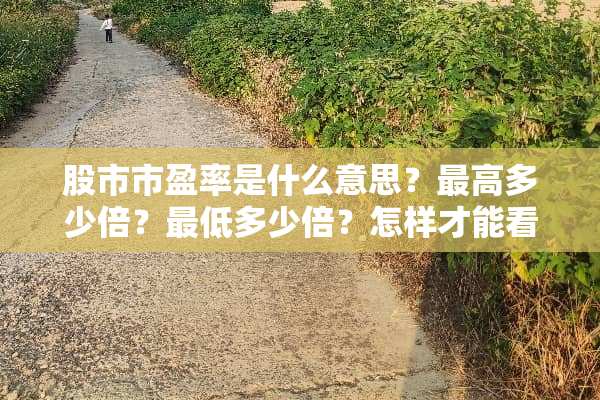 股市市盈率是什么意思？最高多少倍？最低多少倍？怎样才能看出来多少倍了？