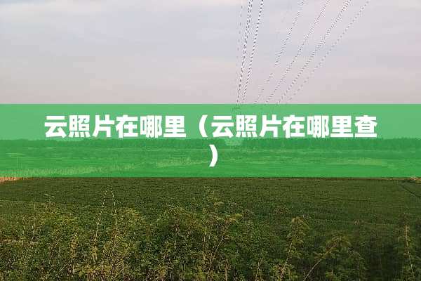 云照片在哪里（云照片在哪里查）