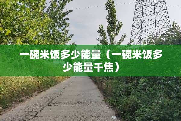 一碗米饭多少能量（一碗米饭多少能量千焦）