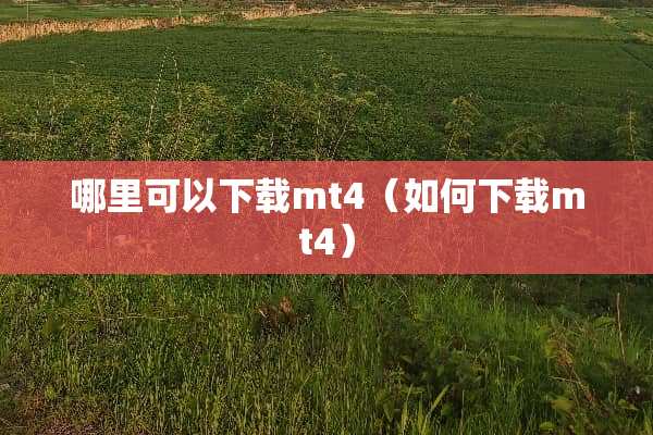 哪里可以下载mt4（如何下载mt4）