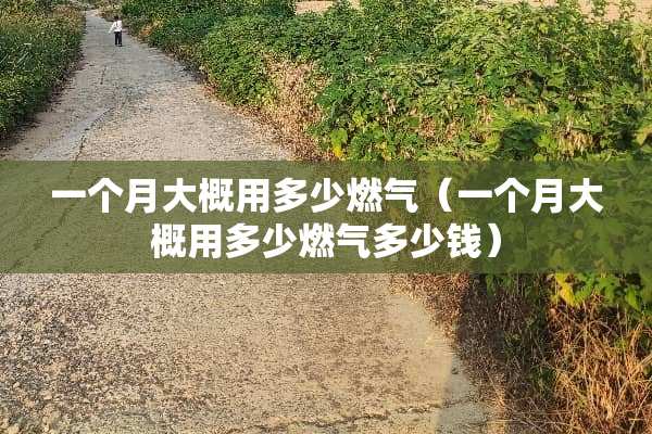 一个月大概用多少燃气（一个月大概用多少燃气多少钱）