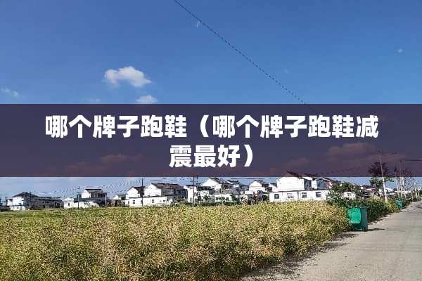 哪个牌子跑鞋（哪个牌子跑鞋减震最好）