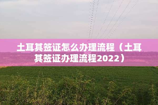 土耳其签证怎么办理流程（土耳其签证办理流程2022）