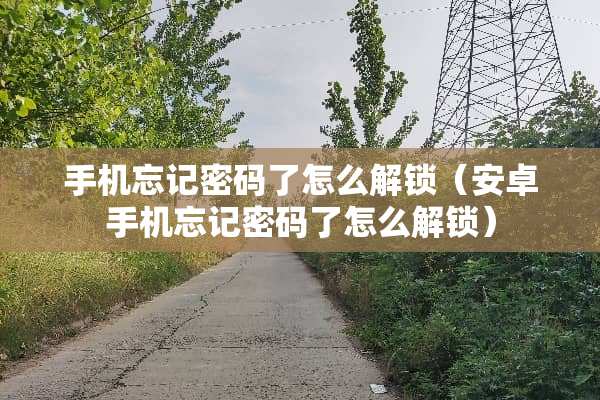 手机忘记密码了怎么解锁（安卓手机忘记密码了怎么解锁）