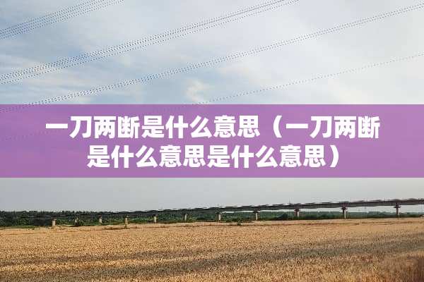 一刀两断是什么意思（一刀两断是什么意思是什么意思）