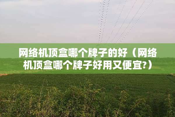 网络机顶盒哪个牌子的好（网络机顶盒哪个牌子好用又便宜?）