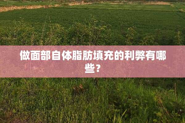 做面部自体脂肪填充的利弊有哪些？