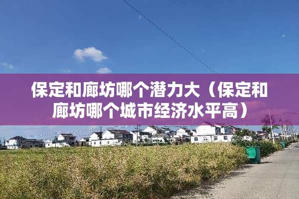 保定和廊坊哪个潜力大（保定和廊坊哪个城市经济水平高）
