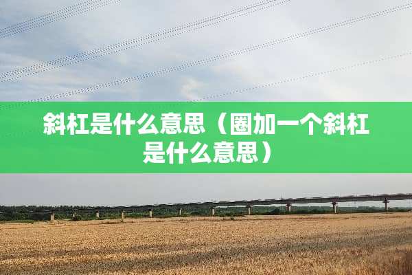 斜杠是什么意思（圈加一个斜杠是什么意思）