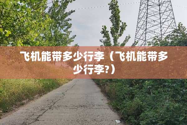 飞机能带多少行李（飞机能带多少行李?）