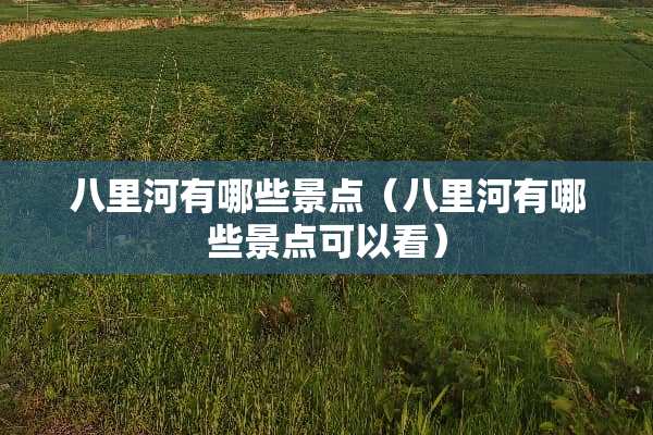八里河有哪些景点（八里河有哪些景点可以看）