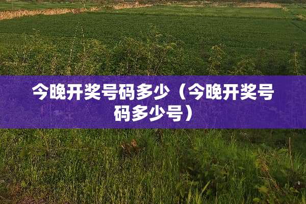 今晚**号码多少（今晚**号码多少号）