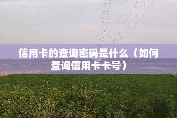 ***的查询密码是什么（如何查询***卡号）