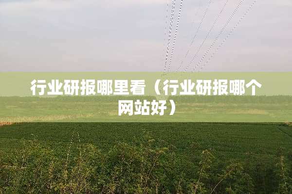行业研报哪里看（行业研报哪个网站好）