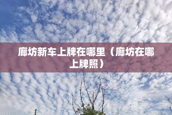 廊坊新车上牌在哪里（廊坊在哪上牌照）