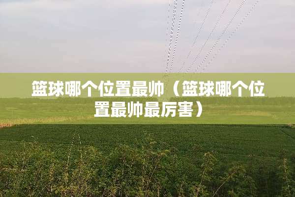 篮球哪个位置最帅（篮球哪个位置最帅最厉害）