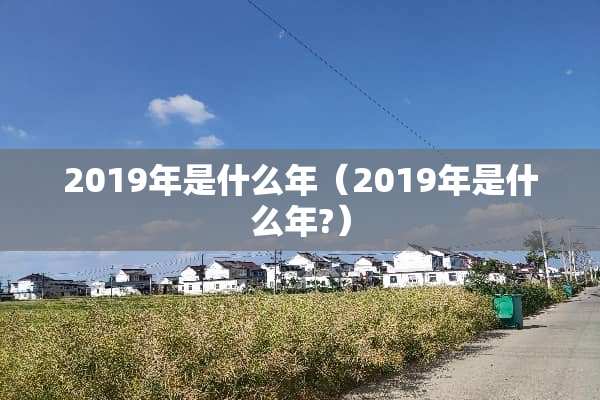 2019年是什么年（2019年是什么年?）
