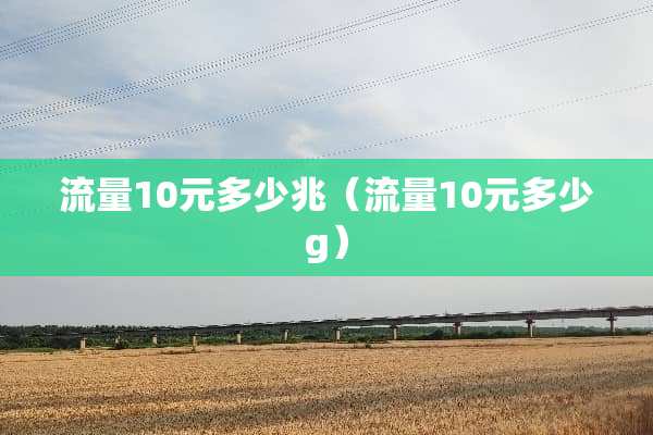 流量10元多少兆（流量10元多少g）